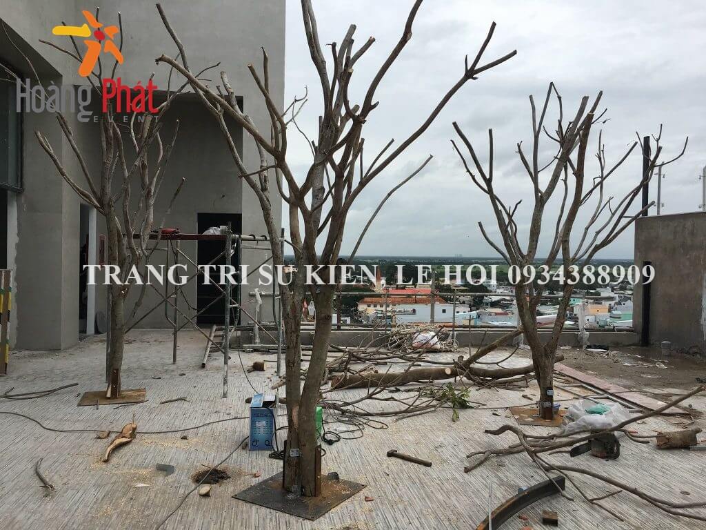 mua cây khô trang trí