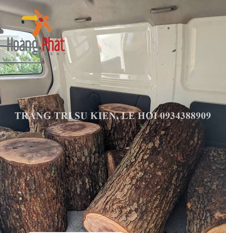 mua cây khô trang trí
