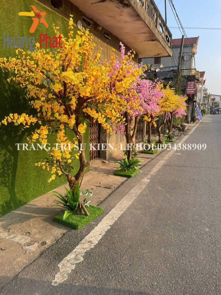 mua cây khô trang trí