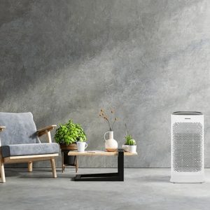 cho thuê máy lọc không khí