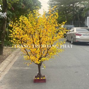 cho thuê cây mai giả