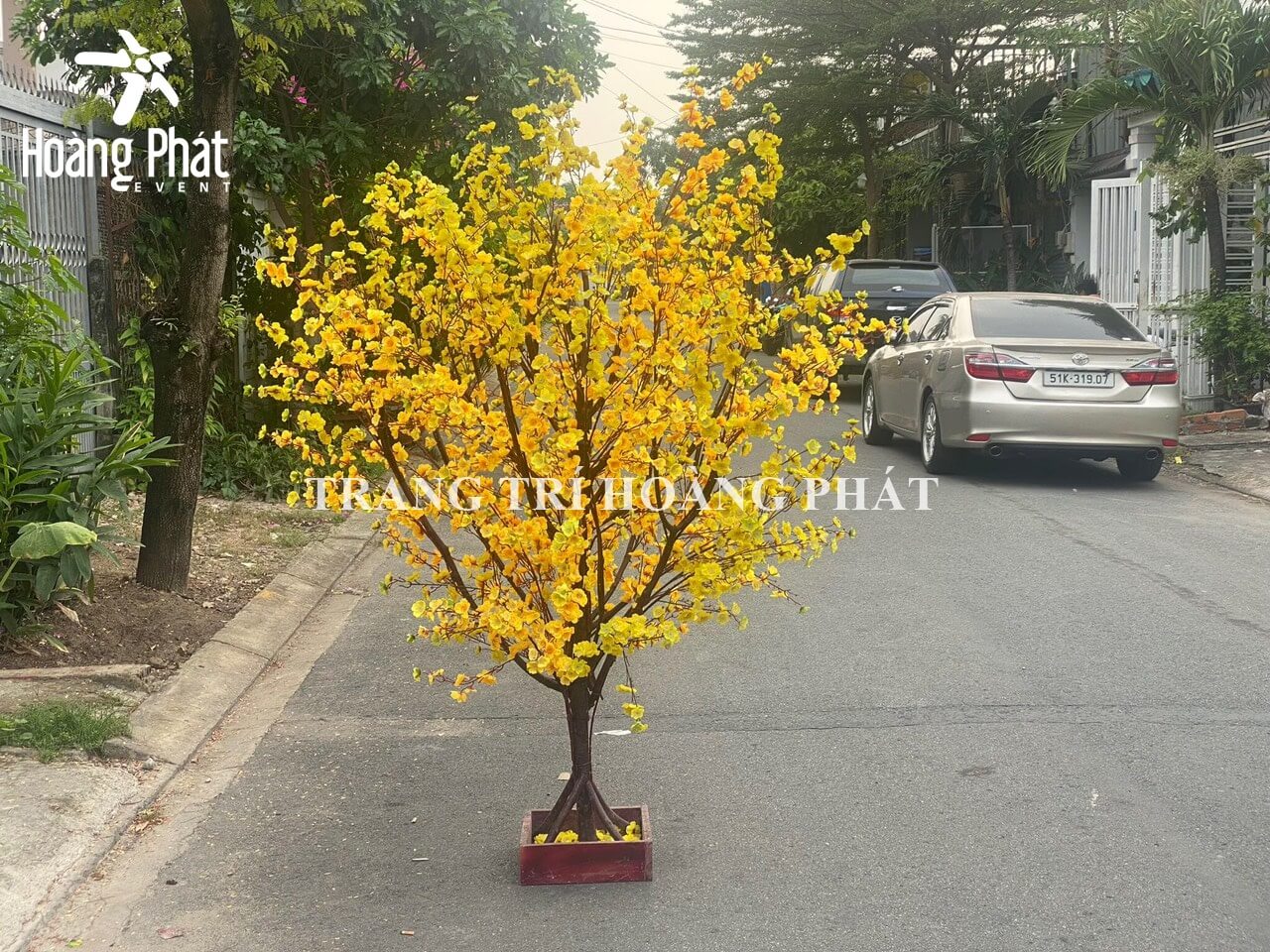 cho thuê cây mai giả